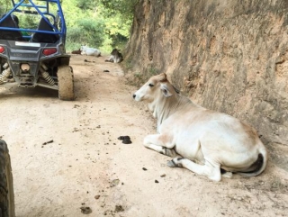 percorsi in montagna